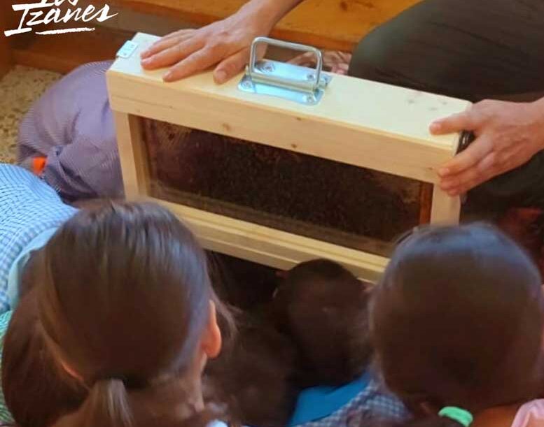 taller de abejas en los izanes taller de abejas en los izanes