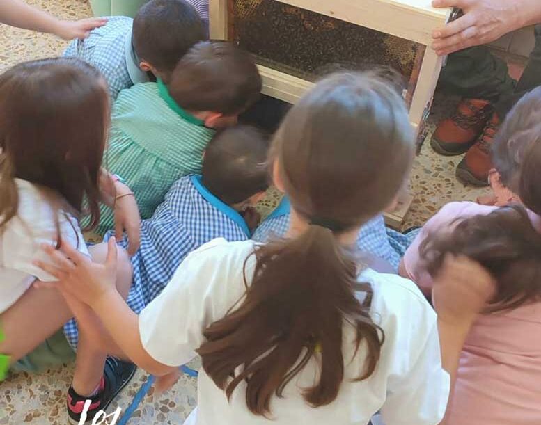 taller de abejas en los izanes (2) taller de abejas en los izanes (2)
