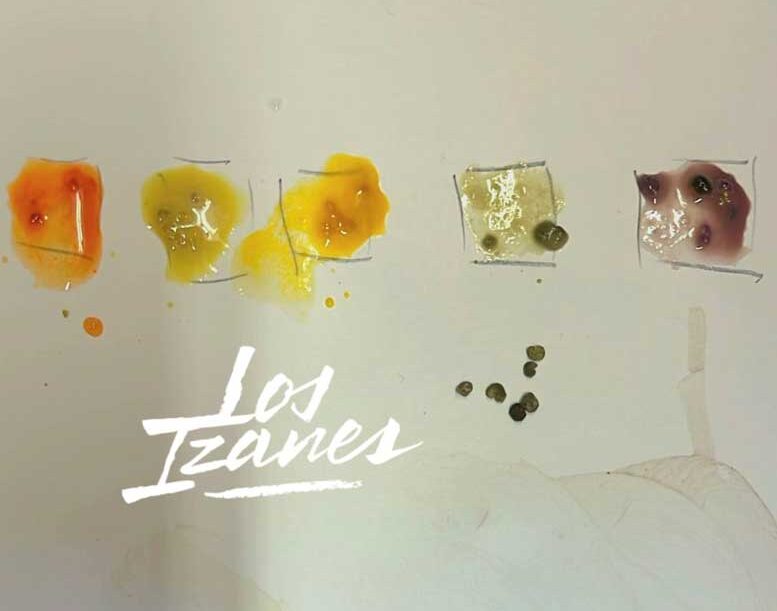 taller de polen en los izanes taller de polen en los izanes