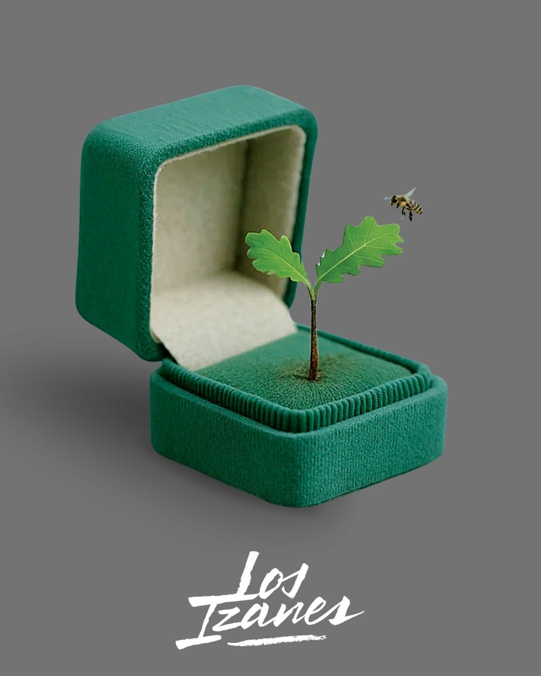 tarjeta compromiso delantera